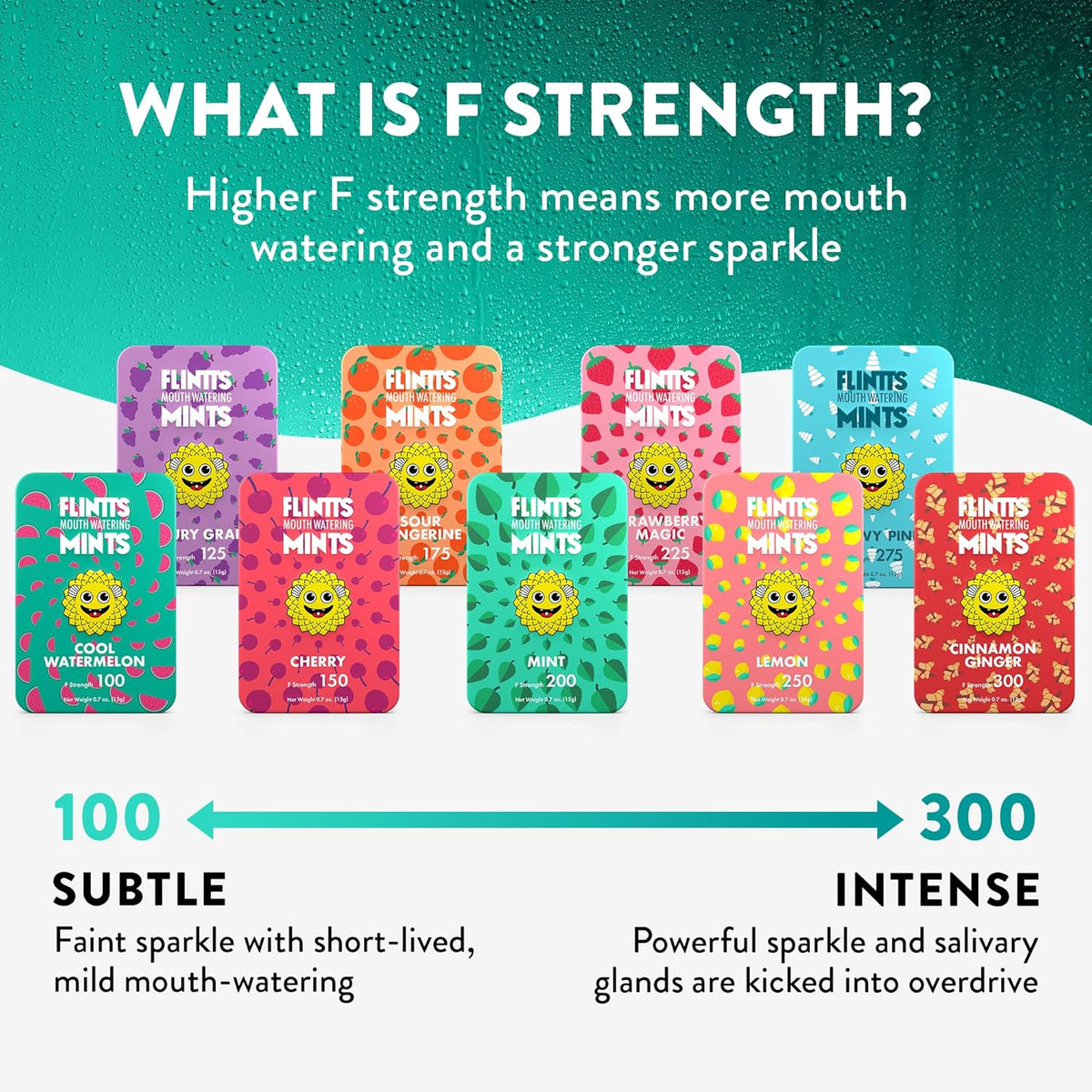 Flintts Mints Mouth Watering Mints - Asst. Flavors