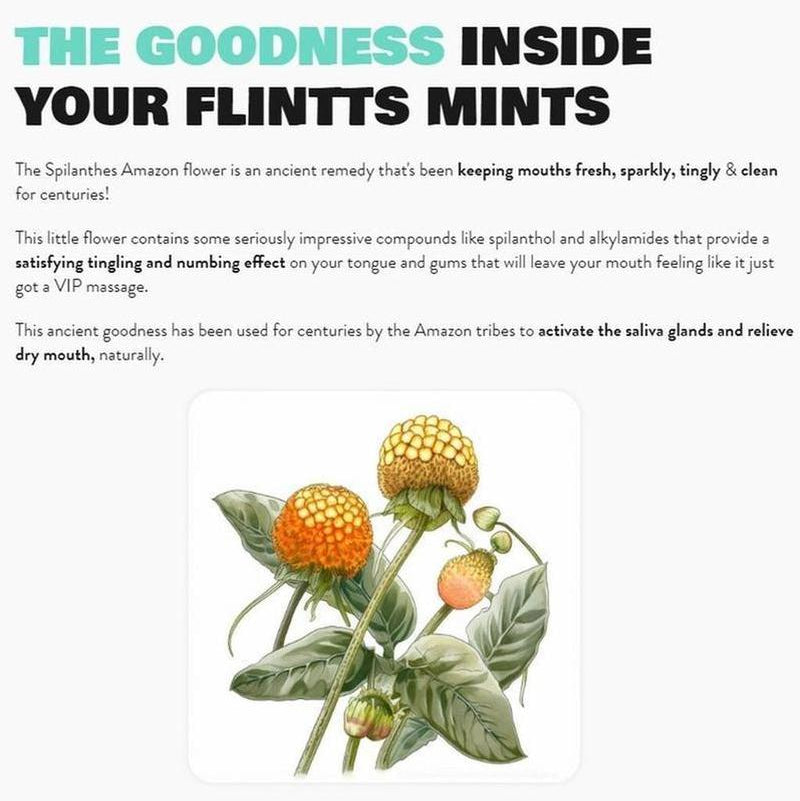 Flintts Mints Mouth Watering Mints - Asst. Flavors
