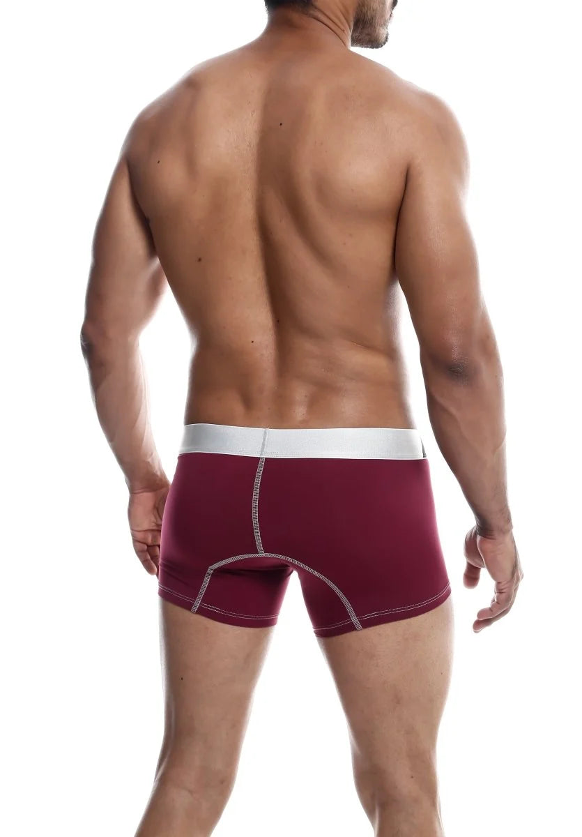 MaleBasics Performance Boxer - Burgundy